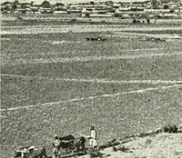 An illustration from The beginnings of Buddhist art, and other essays in Indian and Central-Asian archæology (1917)