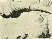 An illustration from The beginnings of Buddhist art, and other essays in Indian and Central-Asian archæology (1917)