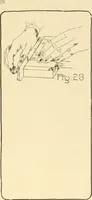 An illustration from Beginning woodwork at home and in school (1907)