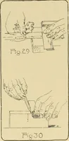 An illustration from Beginning woodwork at home and in school (1907)