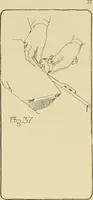An illustration from Beginning woodwork at home and in school (1907)
