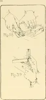 An illustration from Beginning woodwork at home and in school (1907)