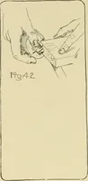 An illustration from Beginning woodwork at home and in school (1907)
