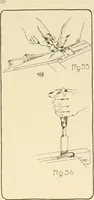 An illustration from Beginning woodwork at home and in school (1907)