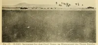 Picture 3 of 13 from Beiträge zur kenntnis der Kapverdischen inseln, die ergebnisse einer studienreise im sommer 1912 (1913), leaf 143