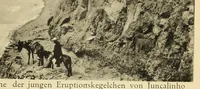 An illustration from Beiträge zur kenntnis der Kapverdischen inseln, die ergebnisse einer studienreise im sommer 1912 (1913)