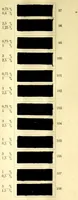 An illustration from Beizen- und Nuancierungsfarbstoffe auf Stückware = Mordant colours on piece goods and suitable shading colours = Colorants pour mordants et à nuancer sur tissu de laine (1890)