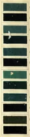 An illustration from Beizen- und Nuancierungsfarbstoffe auf Stückware = Mordant colours on piece goods and suitable shading colours = Colorants pour mordants et à nuancer sur tissu de laine (1890)