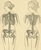 An illustration from Bekleidungskunst und Mode (1918)
