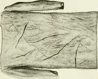 An illustration from Bekleidungskunst und Mode (1918)