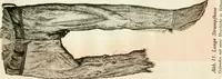 An illustration from Bekleidungskunst und Mode (1918)