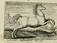 Picture 9 of 38 from Bellerophon, of, Lust tot wysheyt : door sinne-beelden leerlijck vertoont : waer by gevoegt zijn de vrolijcke stemmen, of, stichtige en vermaeckelijcke liedekens en dicten, genomen uyt de geoorolofde vrolickheyd, tot opweckinge der goede zeden : waer by noch konnen gebonden werden, het tweede deel Urania of hemel-sang, als mede het derde deel, Ghesang der Zeden, van den selfden auteur ... (1695), leaf 34