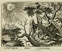 Picture 10 of 38 from Bellerophon, of, Lust tot wysheyt : door sinne-beelden leerlijck vertoont : waer by gevoegt zijn de vrolijcke stemmen, of, stichtige en vermaeckelijcke liedekens en dicten, genomen uyt de geoorolofde vrolickheyd, tot opweckinge der goede zeden : waer by noch konnen gebonden werden, het tweede deel Urania of hemel-sang, als mede het derde deel, Ghesang der Zeden, van den selfden auteur ... (1695), leaf 40