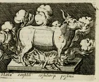 Picture 14 of 38 from Bellerophon, of, Lust tot wysheyt : door sinne-beelden leerlijck vertoont : waer by gevoegt zijn de vrolijcke stemmen, of, stichtige en vermaeckelijcke liedekens en dicten, genomen uyt de geoorolofde vrolickheyd, tot opweckinge der goede zeden : waer by noch konnen gebonden werden, het tweede deel Urania of hemel-sang, als mede het derde deel, Ghesang der Zeden, van den selfden auteur ... (1695), leaf 48