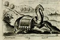 Picture 15 of 38 from Bellerophon, of, Lust tot wysheyt : door sinne-beelden leerlijck vertoont : waer by gevoegt zijn de vrolijcke stemmen, of, stichtige en vermaeckelijcke liedekens en dicten, genomen uyt de geoorolofde vrolickheyd, tot opweckinge der goede zeden : waer by noch konnen gebonden werden, het tweede deel Urania of hemel-sang, als mede het derde deel, Ghesang der Zeden, van den selfden auteur ... (1695), leaf 50