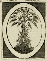Picture 19 of 38 from Bellerophon, of, Lust tot wysheyt : door sinne-beelden leerlijck vertoont : waer by gevoegt zijn de vrolijcke stemmen, of, stichtige en vermaeckelijcke liedekens en dicten, genomen uyt de geoorolofde vrolickheyd, tot opweckinge der goede zeden : waer by noch konnen gebonden werden, het tweede deel Urania of hemel-sang, als mede het derde deel, Ghesang der Zeden, van den selfden auteur ... (1695), leaf 58