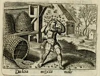 Picture 22 of 38 from Bellerophon, of, Lust tot wysheyt : door sinne-beelden leerlijck vertoont : waer by gevoegt zijn de vrolijcke stemmen, of, stichtige en vermaeckelijcke liedekens en dicten, genomen uyt de geoorolofde vrolickheyd, tot opweckinge der goede zeden : waer by noch konnen gebonden werden, het tweede deel Urania of hemel-sang, als mede het derde deel, Ghesang der Zeden, van den selfden auteur ... (1695), leaf 64