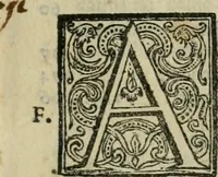 An illustration from Le bellezze della citta di Fiorenza : doue à pieno di pittura, di scultura, di sacri tempij, di palazzi i più notabili artifizij, & più preziosi si contengono (1591)