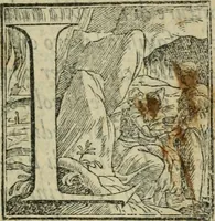 An illustration from Le bellezze della citta di Fiorenza : doue à pieno di pittura, di scultura, di sacri tempij, di palazzi i più notabili artifizij, & più preziosi si contengono (1591)