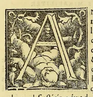 An illustration from Bellum Christianorum principum, praecipue Gallorum, contra Saracenos, anno salutis M.LXXXVIII. pro terra sancta gestum: (1533)