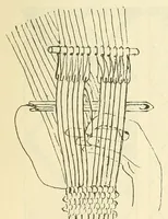 An illustration from Belt folio (1900)