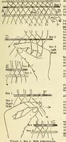 An illustration from Belt folio (1900)