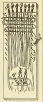 An illustration from Belt folio (1900)