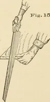 An illustration from Bench work in wood; a course of study and practice designed for the use of schools and colleges (1905)