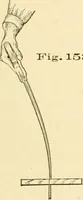 An illustration from Bench work in wood; a course of study and practice designed for the use of schools and colleges (1905)