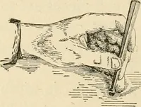 An illustration from Bench work in wood; a course of study and practice designed for the use of schools and colleges (1905)