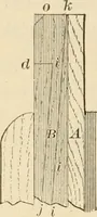 An illustration from Bench work in wood; a course of study and practice designed for the use of schools and colleges (1905)