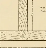 An illustration from Bench work in wood; a course of study and practice designed for the use of schools and colleges (1905)