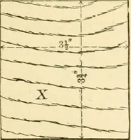 An illustration from Bench work in wood; a course of study and practice designed for the use of schools and colleges (1905)