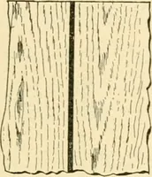 An illustration from Bench work in wood; a course of study and practice designed for the use of schools and colleges (1905)