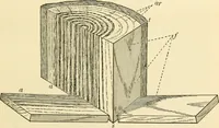 An illustration from Bench work in wood; a course of study and practice designed for the use of schools and colleges (1905)