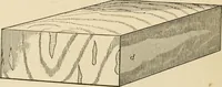 An illustration from Bench work in wood; a course of study and practice designed for the use of schools and colleges (1905)