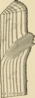 An illustration from Bench work in wood; a course of study and practice designed for the use of schools and colleges (1905)
