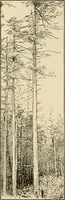 An illustration from Bench work in wood; a course of study and practice designed for the use of schools and colleges (1905)