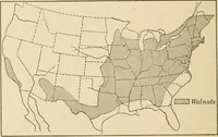 An illustration from Bench work in wood; a course of study and practice designed for the use of schools and colleges (1905)
