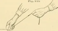 An illustration from Bench work in wood; a course of study and practice designed for the use of schools and colleges (1905)