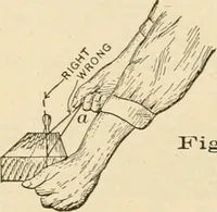 An illustration from Bench work in wood; a course of study and practice designed for the use of schools and colleges (1905)