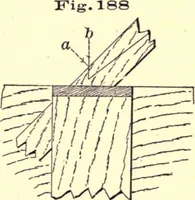An illustration from Bench work in wood; a course of study and practice designed for the use of schools and colleges (1888)