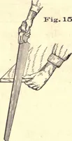 An illustration from Bench work in wood; a course of study and practice designed for the use of schools and colleges (1888)