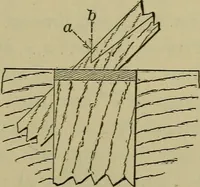 An illustration from Bench work in wood: a course of study and practice designed for the use of schools and colleges (1902)