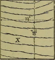 An illustration from Bench work in wood: a course of study and practice designed for the use of schools and colleges (1902)
