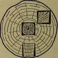 An illustration from Bench work in wood: a course of study and practice designed for the use of schools and colleges (1902)