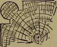 An illustration from Bench work in wood: a course of study and practice designed for the use of schools and colleges (1902)