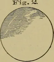 An illustration from Bench work in wood: a course of study and practice designed for the use of schools and colleges (1902)