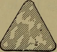An illustration from Bench work in wood: a course of study and practice designed for the use of schools and colleges (1902)