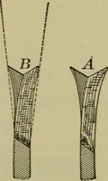 An illustration from Bench work in wood: a course of study and practice designed for the use of schools and colleges (1902)